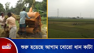 কিশোরগঞ্জের হাওরাঞ্চলে শুরু হয়েছে আগাম বোরো ধান কাটার কাজ | Ananda Tv