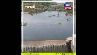 Arvalli : શામળાજીના મેશ્વો જળાશય માંથી મેશ્વો નદીમાં પાણી છોડાયું