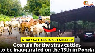 #StrayCattles to get shelter: Goshala for the stray cattles to be inaugurated on the 13th in Ponda
