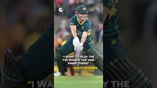 David Warner gave a hint of saying goodbye to T20 internationals.