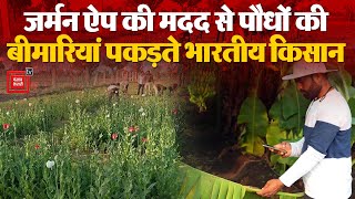 German App की मदद से पौधों की बीमारियां पकड़ते भारतीय किसान | Indian Farmers