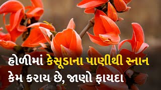 હોળીમાં કેસૂડાના પાણીથી સ્નાન કેમ કરાય છે, જાણો ફાયદા  #holi #Kesudo