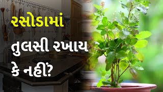 રસોડામાં તુલસી રખાય કે નહીં? #HolyBasil #Plant #Kitchen