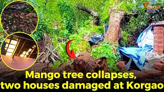 Mango tree collapses, two houses damaged at Korgao