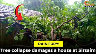 #RainFury! Tree collapse damages a house at Sirsaim