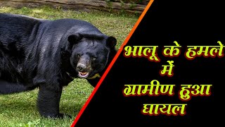 भालू के हमले में ग्रामीण हुआ घायल,ग्राम पतरापाली में सामने आई घटना