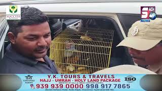 A Gang of Interstate Smugglers Transporting Exotic Wildlife Animals Arrested | SACHNEWS |