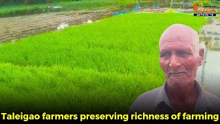 Taleigao farmers preserving richness of farming