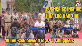 Pushpa Style Me Kar Rahe Smuggling - 16 Red Sandalwood Logs, 4 Smugglers Arrested - Tirupathi TFP |