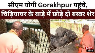 सीएम योगी Gorakhpur पहुंचे, चिड़ि‍याघर के बाड़े में छोड़े दो बब्‍बर शेर