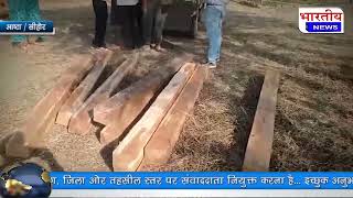 Aashta : वन विभाग की बड़ी कार्यवाही 17 नग सागौन जब्त पिकअप वाहन पकड़ा। @BhartiyaNews  #आष्टा mp