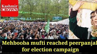 Mehbooba mufti reached peerpanjal for election campaign