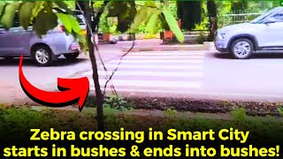 Smart Zebra Crossing! Zebra crossing in Smart City starts in bushes & ends into bushes!