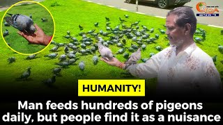 #Humanity! Man feeds hundreds of pigeons daily, but people find it as a nuisance