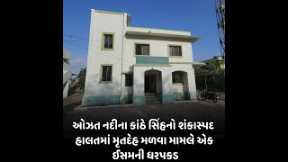 Junagadh : ઓઝત નદીના કાંઠે સિંહનો શંકાસ્પદ હાલતમાં મૃતદેહ મળવા મામલે એક ઈસમની ધરપકડ