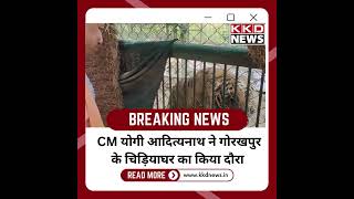 CM योगी आदित्यनाथ गोरखपुर प्राणी उद्यान का निरीक्षण करने पहुंचे  #Tiger #YogiAdityanath