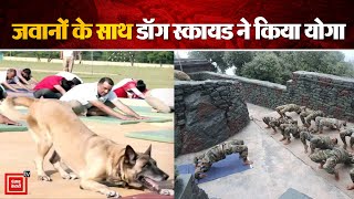 International Yoga Day के अवसर पर Indian Army के साथ Dog Squad ने किया Yoga