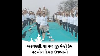 Arvalli : શામળાજી મેશ્વો ડેમ પર યોગ દિવસ ઉજવાયો