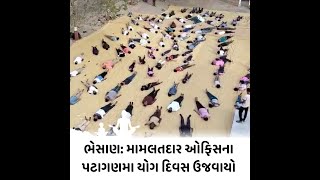 Bhesan : મામલતદાર ઓફિસના પટાગણમા યોગ દિવસ ઉજવાયો