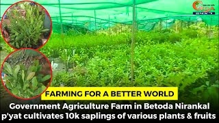 Govt Agriculture Farm in Betoda Nirankal p'yat cultivates 10k saplings of various plants & fruits