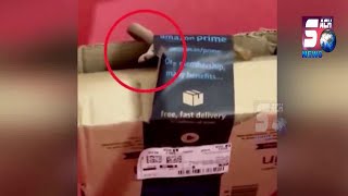 NATIONAL NEWS : Amazon Parcel Se Nikla Zinda Cobra in Bengaluru | SACHNEWS |