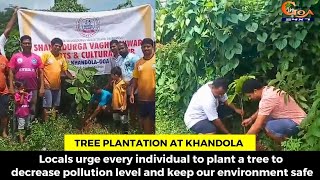 Tree Plantation at Khandola
