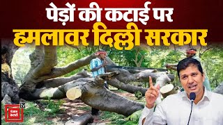 पेड़ों की कटाई पर हमलावर Delhi government, Cabinet Minister Saurabh Bhardwaj ने गिनाए LG-DDA के झूठ!