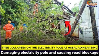 Tree collapses on the electricity pole at Assagao near DMC.