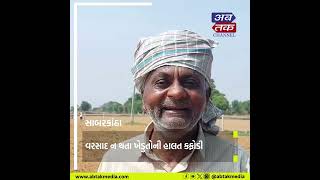 સાબરકાંઠા: વરસાદ ન થતા ખેડુતોની હાલત કફોડી