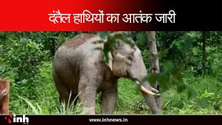 BalodaBazar: दंतैल हाथियों का आतंक जारी, हाथियों के दल ने मकान को किया तहस-नहस | CG News