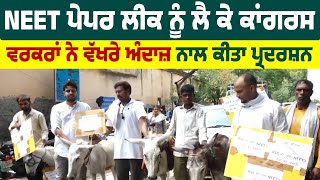 NEET ਪੇਪਰ ਲੀਕ ਨੂੰ ਲੈ ਕੇ ਕਾਂਗਰਸ ਵਰਕਰਾਂ ਨੇ ਵੱਖਰੇ ਅੰਦਾਜ਼ ਨਾਲ ਕੀਤਾ ਪ੍ਰਦਰਸ਼ਨ