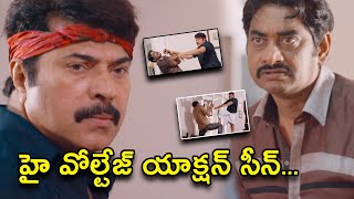 హై వోల్టేజ్ యాక్షన్ సీన్ | MalikBhai Telugu Full Movie Scenes | Mammootty | Caroline Bech