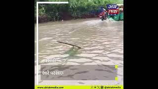 Navsari : ભારે વરસાદના કારણે અનેક જગ્યાએ વૃક્ષો થયા ધરાશાઈ