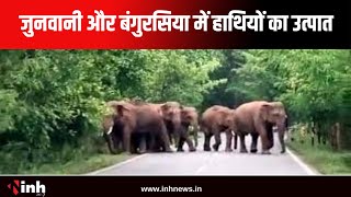 Raigarh: जुनवानी और बंगुरसिया में हाथियों का उत्पात | दर के साए में जी रहे हैं ग्रामीण | CG News