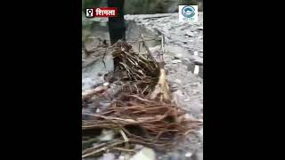 Shimla | RoadClosd | Rain Himachal