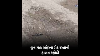 Junagadh : શહેરના રોડ રસ્તાની હાલત કફોડી