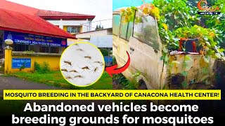 Mosquito breeding in The backyard of Canacona Health Center!