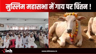 राजधानी में हुई मुस्लिम महासभा की बैठक, गाय को राष्ट्रीय पशु घोषित करने की उठी मांग | CG News