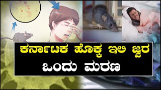 ಕರ್ನಾಟಕ ಹೊಕ್ಕ ಇಲಿ ಜ್ವರ  ಒಂದು ಮರಣ || RAT FEVER