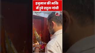 Rahul Gandhi ने Raebareli में हनुमान मंदिर में की पूजा #shorts  #ytshorts  #viralvideo