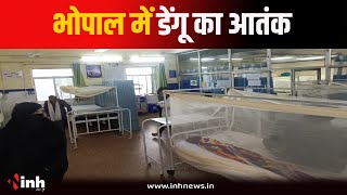 Bhopal में डेंगू का कहर, सामने आए 26 मरीज पॉजिटिव, 80 हुआ संक्रमितों का आंकड़ा | Dengue Cases