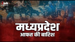 MP में भारी बारिश का दौर जारी, कई इलाकों में बाढ़ का खतरा..उफान पर नदी-नाले | Heavy Rain | IMD Alert