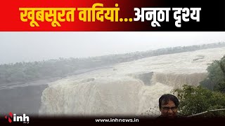 Rewa के Purwa जलप्रपात का मनमोहक नजारा, दूर-दराज से पहुंच रहे सैलानी | MP News