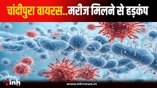 CMHO Gwalior ने जारी की एडवाइजरी, बुखार के साथ सिरदर्द Virus के प्रमुख लक्षण | Chandipura Virus