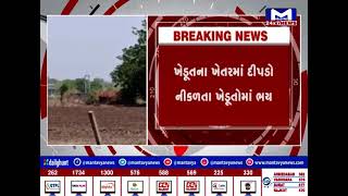 Amreli : વડીયામાં ધોળા દિવસે ખેતરમાં દીપડાની લટાર | MantavyaNews