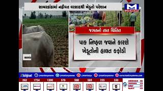 જગતનો તાત ચિંતામાં | MantavyaNews