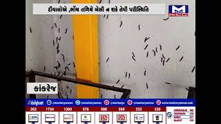 Banaskantha : કાંકરેજની પ્રાથમિક શાળામાં ઈયળનો ઉપદ્રવ | MantavyaNews