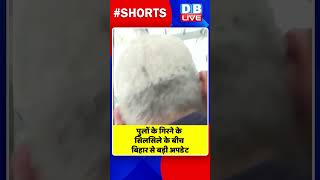 पुलों के गिरने के सिलसिले के बीच बिहार से बड़ी अपडेट #shorts #ytshorts #shortsvideos #video #dblive