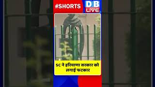 SC ने हरियाणा सरकार को लगाई फटकार #shorts #ytshorts #shortsvideos #dblive #breakingnews