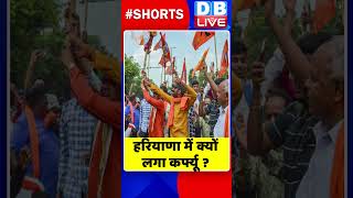 हरियाणा में क्यों लगा कर्फ्यू #shorts #ytshorts #shortsvideos #dblive #breakingnews #video